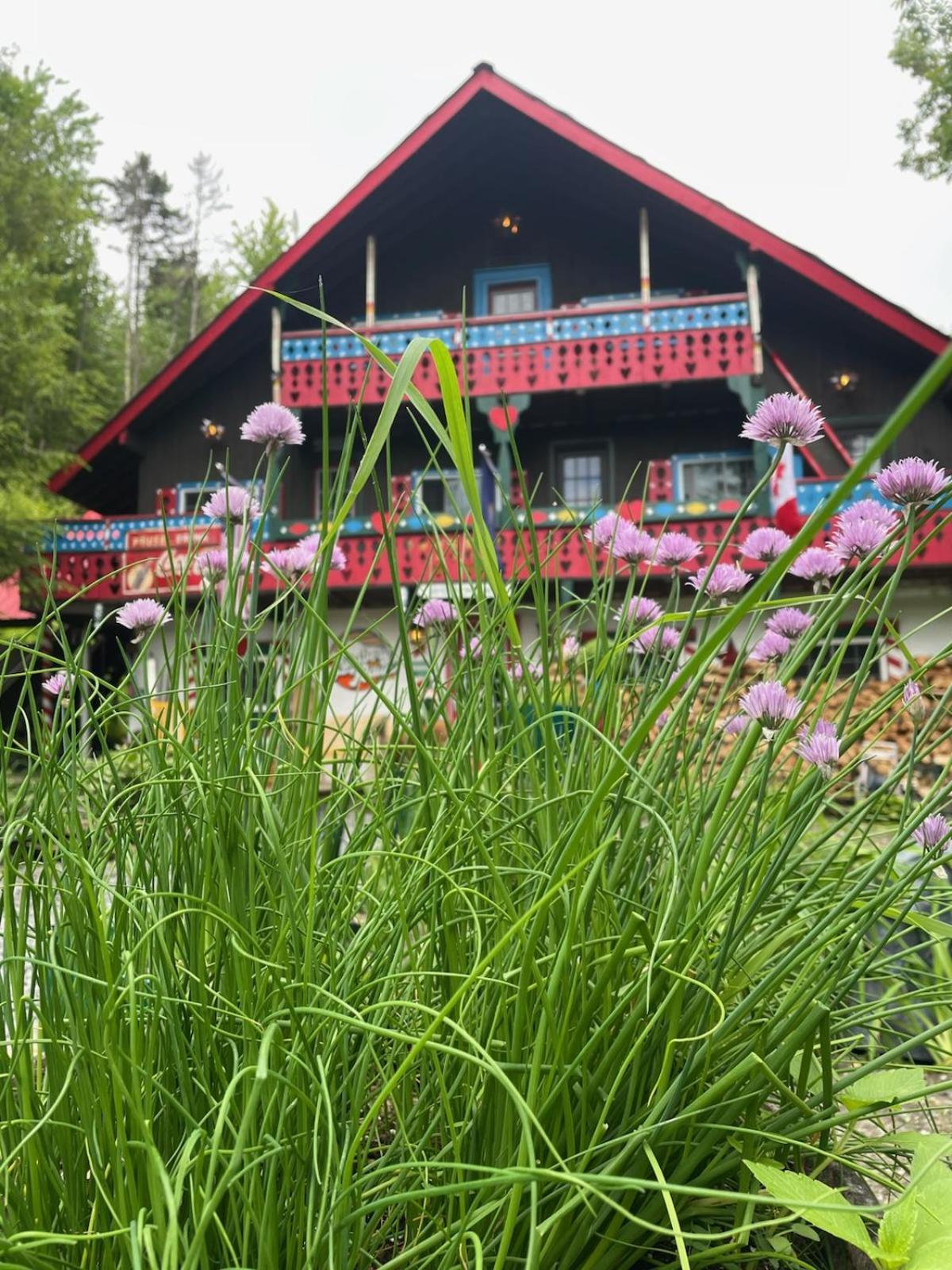 Grunberg Haus Inn & Cabins 워터베리 외부 사진